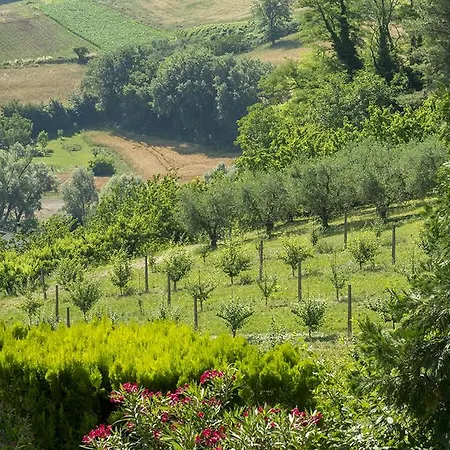 Villa Moni Pesaro