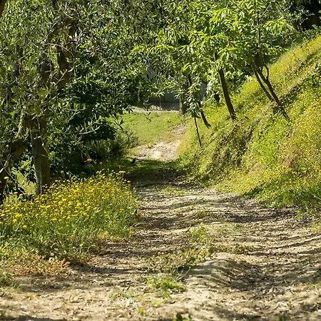 Villa Moni *