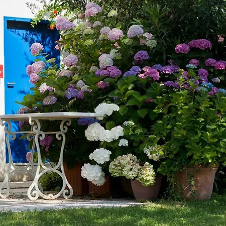 Villa Moni