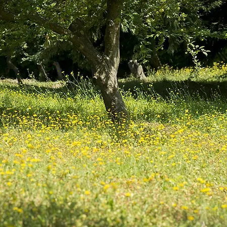 Villa Moni *