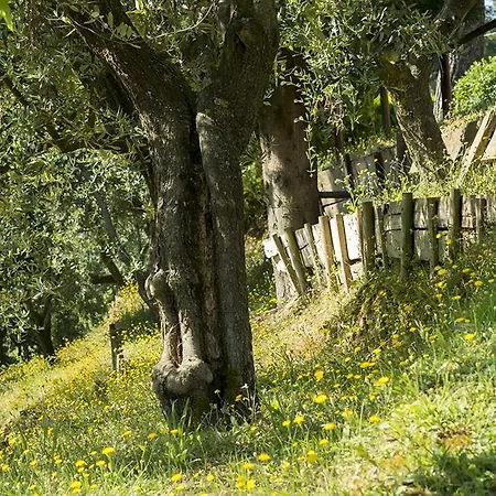 Villa Moni