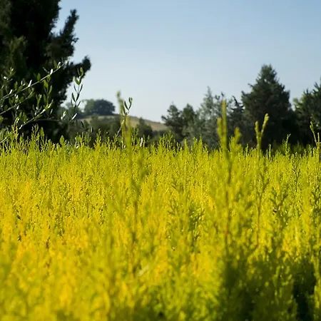 Villa Moni *